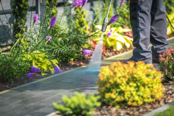 Best Soft Washing for Delicate Surfaces in Bel Air North, MD