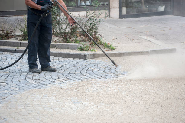 Best Roof Cleaning and Mildew Removal in Bel Air North, MD