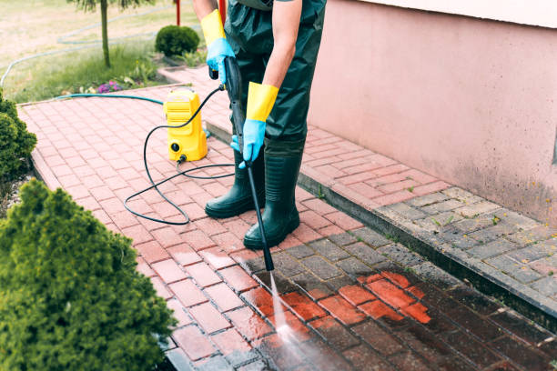 Best Driveway Cleaning and Restoration in Bel Air North, MD